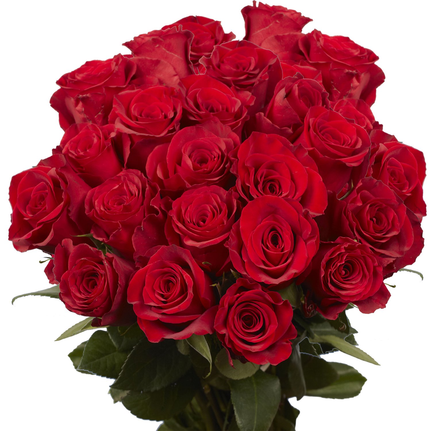 Mazzo Di Rose Rosse Gigante - 1431 Bouquet Di Rose Rosse Medie Mazzi